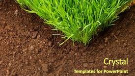  Presentation with soil - Presentation consisting of sod - green grass in soil background and a tawny brown colored foreground