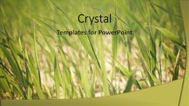  Presentation with farm - Colorful slide deck enhanced with sod - view of a farm field backdrop and a gold colored foreground