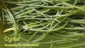  Presentation with vegan food - Amazing slide set having soda aka as opposite-leave backdrop and a tawny brown colored foreground