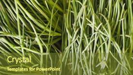  Presentation with vegan food - Theme having soda aka as opposite-leave background and a tawny brown colored foreground