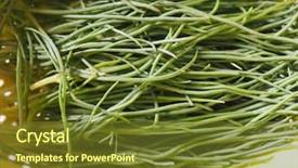  Presentation with thistle - Slide deck featuring soda aka as opposite-leave background and a tawny brown colored foreground