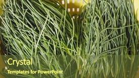  Presentation with thistle - Amazing slide deck having soda aka as opposite-leave backdrop and a tawny brown colored foreground