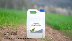  Presentation with plant growth - Presentation consisting of sodium-nitrophenolate-a-synthetic-plant background and a coral colored foreground