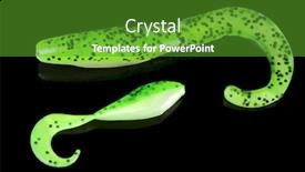  Presentation with acid green - Cool new presentation theme with soft-acid-green-fishing-baits backdrop and a tawny brown colored foreground