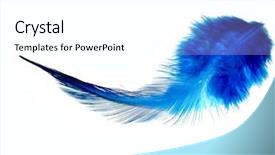 Presentation with pastel feather ink - Presentation design enhanced with soft blue feather background and a white colored foreground