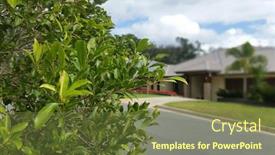  Presentation with queensland - PPT theme featuring soft focus background of australian suburb south east queensland background and a tawny brown colored foreground