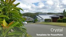  Presentation with queensland - Audience pleasing PPT theme consisting of soft focus background of australian suburb south east queensland backdrop and a gray colored foreground