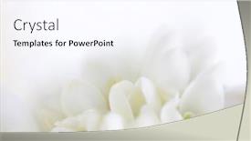  Presentation with lens - Cool new theme with soft-focus-blur-flower-background backdrop and a sky blue colored foreground