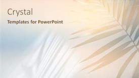  Presentation with light refraction - PPT theme having soft-focus-blur-palm-leaf background and a cream colored foreground