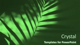  Presentation with abstract green smoke - Presentation design having soft-focus-green-grain-texture background and a tawny brown colored foreground