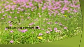  Presentation with clover - PPT theme consisting of soft focus of green meadow field full of pink red clover flowers trifolium pratense during spring in japan background and a yellow colored foreground