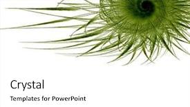  Presentation with background and significance - Cool new PPT layouts with soft light abstract 3d - background backdrop and a  colored foreground