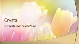  Presentation with tulips - Presentation theme having beautiful tulips made with color background and a lemonade colored foreground