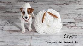  Presentation with yarns - Theme enhanced with soft skills - dog withthick yarns background and a light gray colored foreground