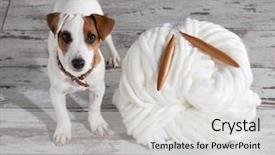  Presentation with yarns - Slide set consisting of soft skills - thick yarns skein with needle background and a light gray colored foreground