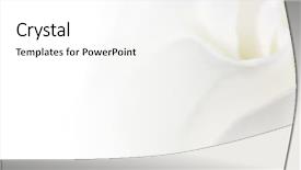  Presentation with soft white flower - Beautiful presentation theme featuring soft white flower background backdrop and a white colored foreground