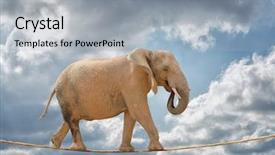  Presentation with treasure map aged rope - Slides enhanced with softpower - elephant walking on rope outdoors background and a light gray colored foreground