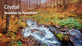  Presentation with carpet - Presentation theme with softpower - fantastic carpet of yellow leaves background and a tawny brown colored foreground