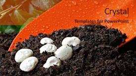  Presentation with organic garden supply store - Slides consisting of soil and lima bean seeds background and a red colored foreground