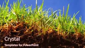  Presentation with soil bacteria - Audience pleasing slides consisting of soil bacteria - grass surface level backdrop and a wine colored foreground