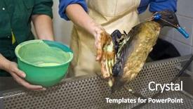  Presentation with soil contamination - Presentation design enhanced with soil contamination - netherlands - oct 9 background and a gray colored foreground