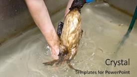  Presentation with oil - Presentation theme with soil contamination - netherlands - oct 9 background and a coral colored foreground