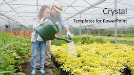  Presentation with greenhouse - Presentation theme enhanced with soil fauna - gardener and granddaughter watering plants background and a light gray colored foreground