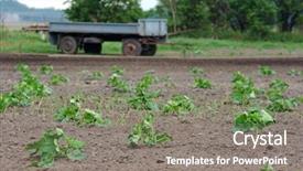  Presentation with agricultural - Amazing presentation design having soil fertilizer lettuces - agricultural field with rows backdrop and a  colored foreground