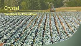  Presentation with seed germination agriculture growing plants - Amazing presentation design having soil fertilizer lettuces - agricultural field with rows backdrop and a tawny brown colored foreground