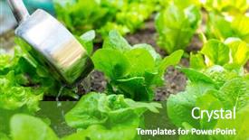  Presentation with fertilization - Colorful presentation design enhanced with soil fertilizer lettuces - fertilization of lettuce backdrop and a  colored foreground
