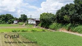  Presentation with colorful green corn field - Slide set enhanced with soil fertilizer lettuces - green field in countryside background and a  colored foreground