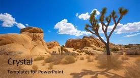  Presentation with joshua tree national park - Colorful presentation enhanced with soil formation - joshua tree national park jumbo backdrop and a gold colored foreground