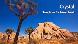  Presentation with joshua tree national park - Presentation design featuring soil formation - joshua tree national park yucca background and a  colored foreground