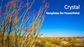  Presentation with red hibiscus rosa sinensis flower - Presentation design enhanced with soil formation - ocotillo fouquieria splendens red flowers background and a ocean colored foreground