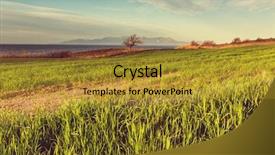  Presentation with season - Presentation design featuring soil grassland - field and trees in spring background and a  colored foreground