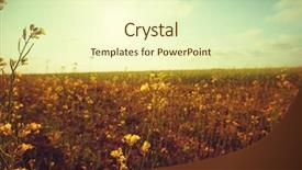  Presentation with filter - Cool new slides with soil grassland - field vintage filter backdrop and a  colored foreground