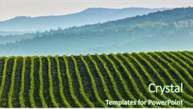  Presentation with czech republic - Audience pleasing presentation consisting of soil grassland - panorama of furrows with sprouts backdrop and a tawny brown colored foreground