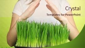  Presentation with growing - Presentation featuring soil keep - hands protects growing grass background and a  colored foreground