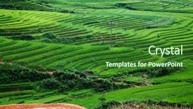  Presentation with rice fields - Presentation theme consisting of soil management - terraced green rice fields background and a forest green colored foreground