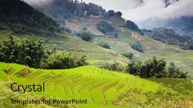  Presentation with rice fields - PPT layouts consisting of soil management - terraced green rice fields background and a gold colored foreground