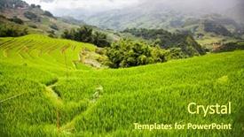  Presentation with rice fields - Audience pleasing PPT layouts consisting of soil management - terraced green rice fields backdrop and a tawny brown colored foreground