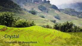  Presentation with rice fields - PPT layouts enhanced with soil management - terraced green rice fields background and a gold colored foreground