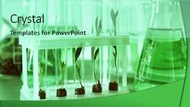  Presentation with soil test - PPT layouts having soil microbiology - test tubes with plants background and a mint green colored foreground