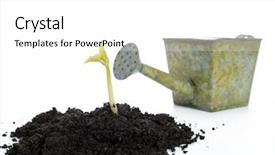  Presentation with mold - Presentation with soil mold with growing bean background and a white colored foreground