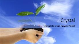  Presentation with holding hands - Slides having pool in this modern outdoor background and a light gray colored foreground.