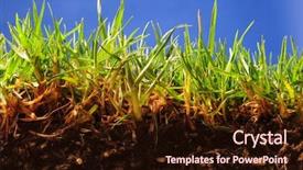  Presentation with soil science - Theme featuring soil science - grass surface level background and a wine colored foreground