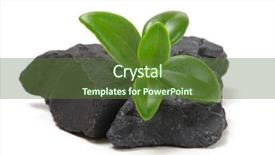  Presentation with soil - Presentation theme enhanced with church of san domenico in siena tuscany italy background and a tawny brown colored foreground