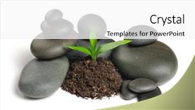  Presentation with zen stones - Cool new PPT layouts with soil stabilisation - zen stones and plant backdrop and a white colored foreground