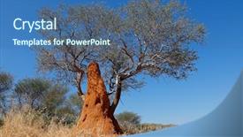  Presentation with soil structure - Colorful slide deck enhanced with soil structure - landscape with a tree backdrop and a ocean colored foreground