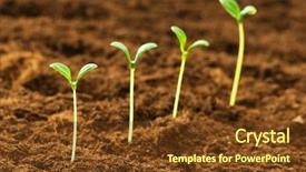  Presentation with seedling - Audience pleasing presentation theme consisting of soil tree - green seedling illustrating concept backdrop and a tawny brown colored foreground